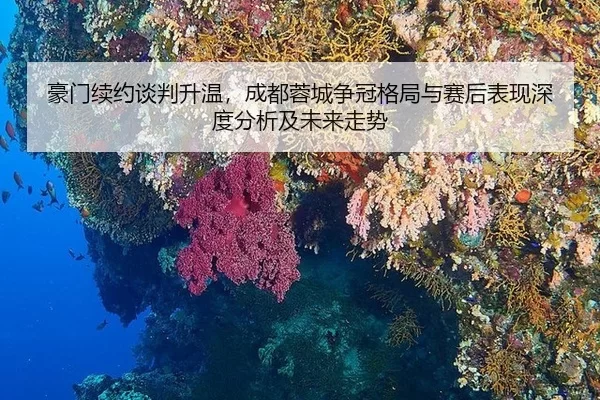 hao-men-xu-yue-tan-pan-sheng-wen-cheng-du-rong-cheng-zheng-guan-ge-ju-yu-sai-hou-biao-xian-shen-du-fen-xi-ji-wei-lai-2-272.jpg
